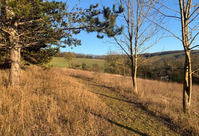 Le Domaine Du Lavoir
