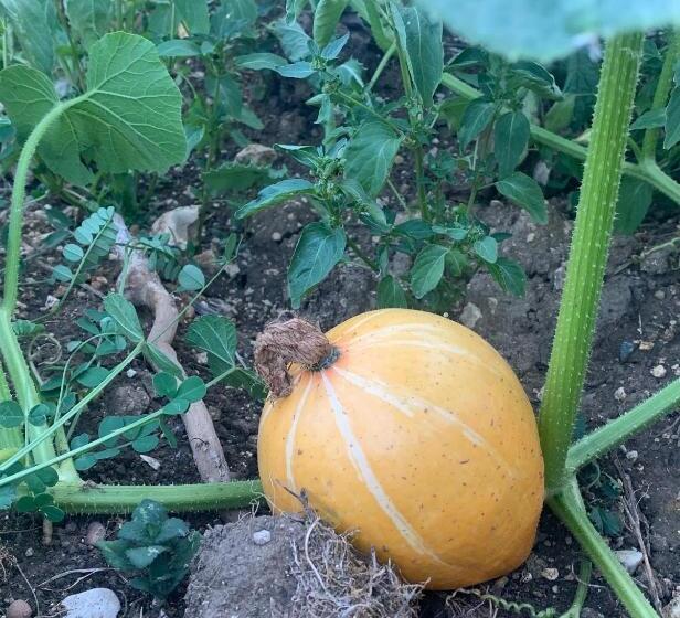 Le Domaine Du Lavoir