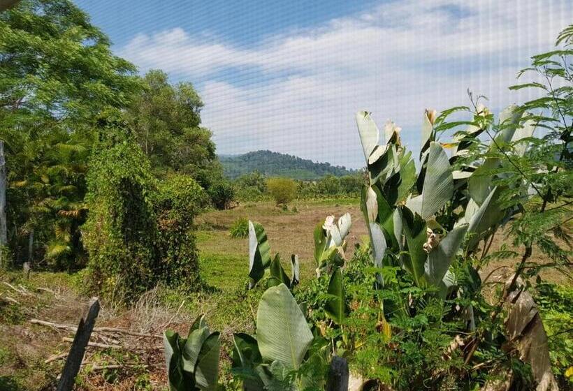 מוטל Nestvilla Khok Kloi Phang Nga