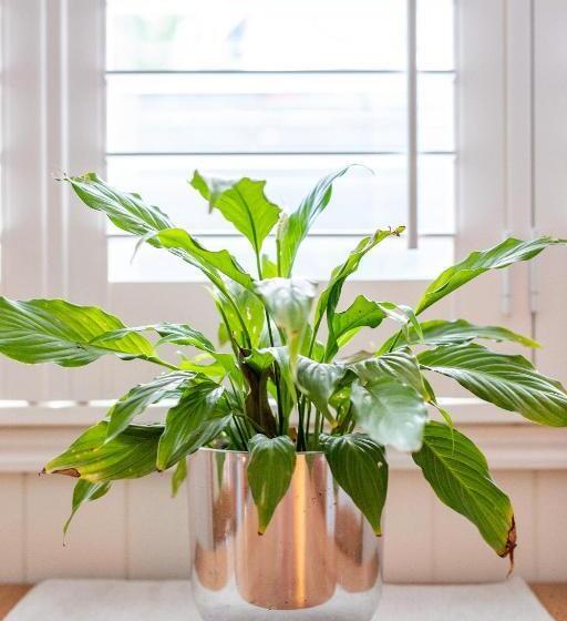 מוטל Woodford Gardens