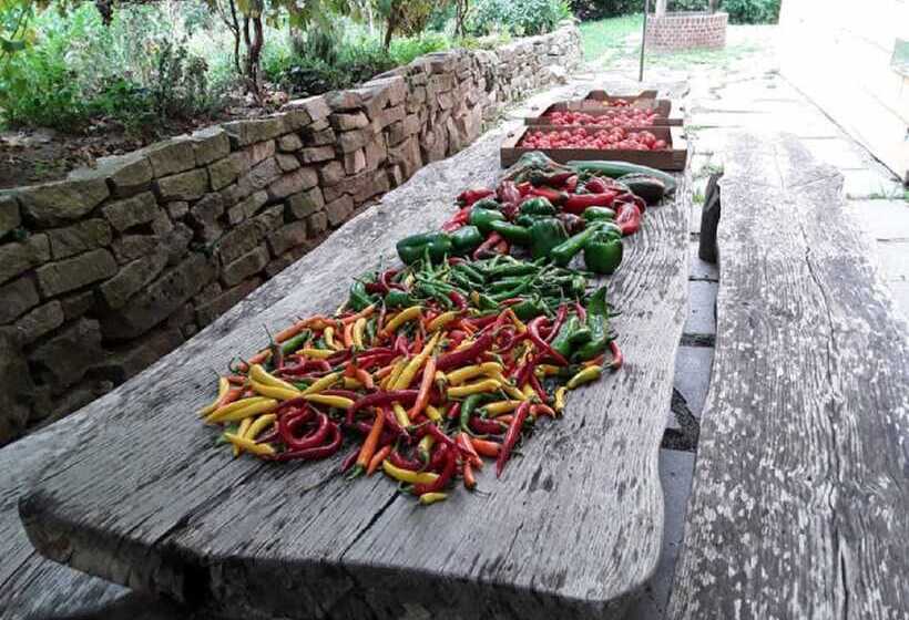 Naturfreundepension Hagenberger Für Erwachsene