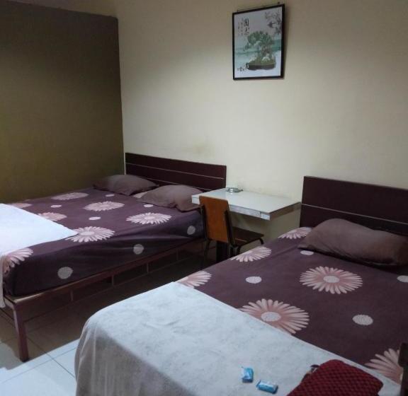 بنسيون First Inn