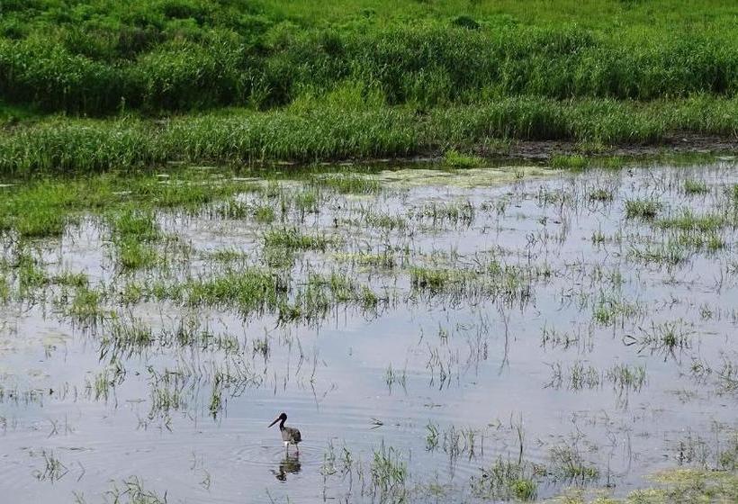 ペンション Gästehaus Am Elberadweg By Hotel Alte Fischerkate