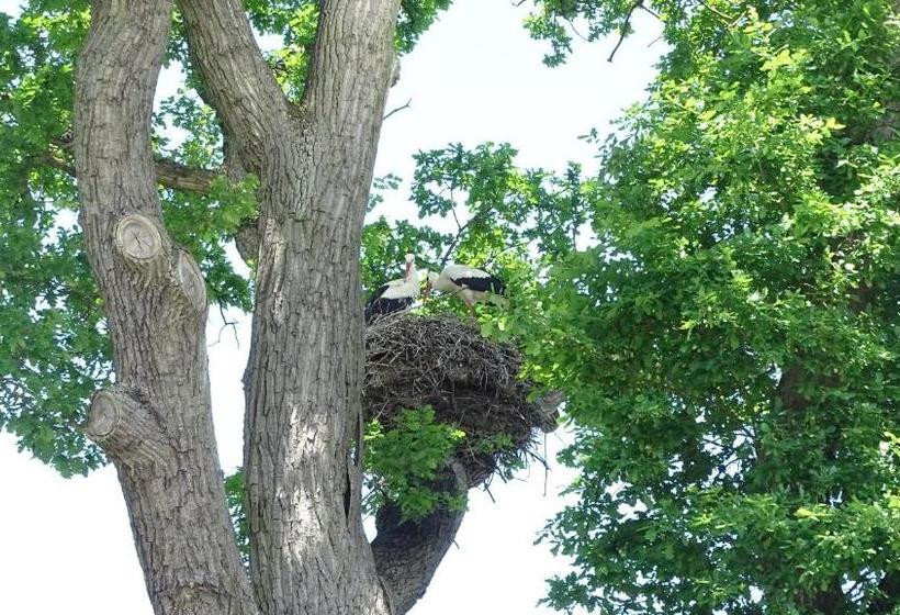 ペンション Gästehaus Am Elberadweg By Hotel Alte Fischerkate