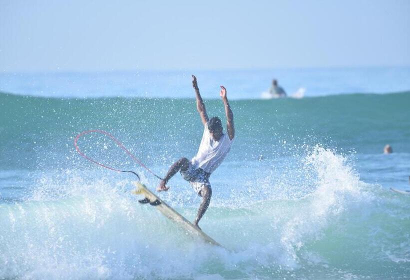 פנסיון The Wave Surf Inn Midigama