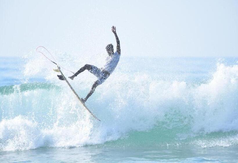 פנסיון The Wave Surf Inn Midigama