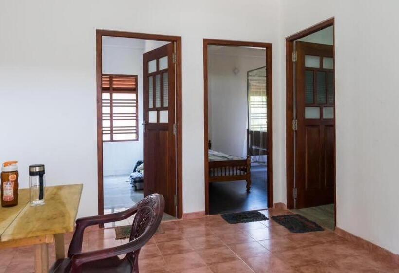 פנסיון The Wave Surf Inn Midigama