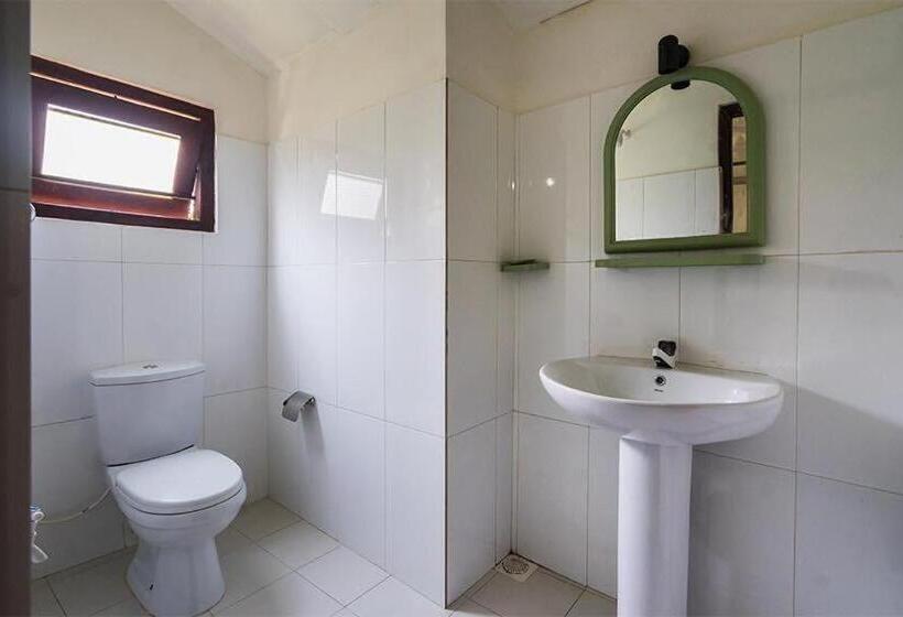 פנסיון The Wave Surf Inn Midigama