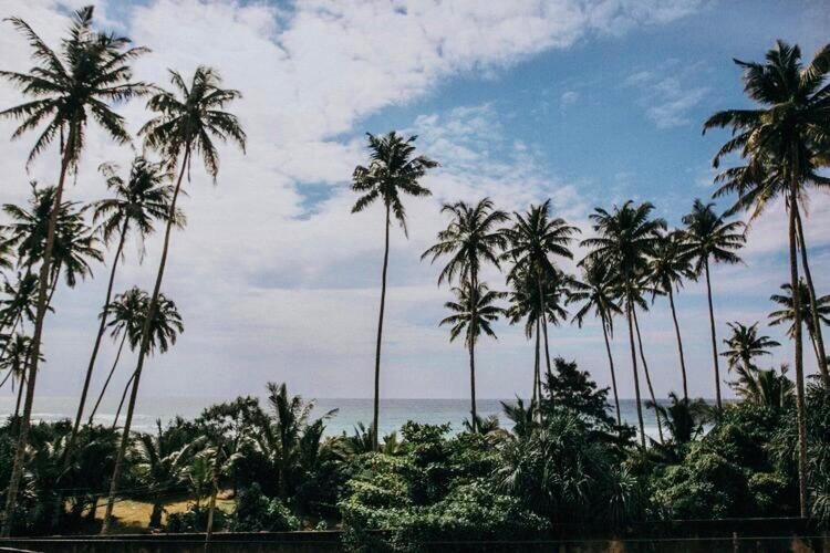 פנסיון The Wave Surf Inn Midigama