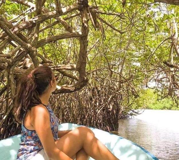 Пансион Wilpattu Green Cabin