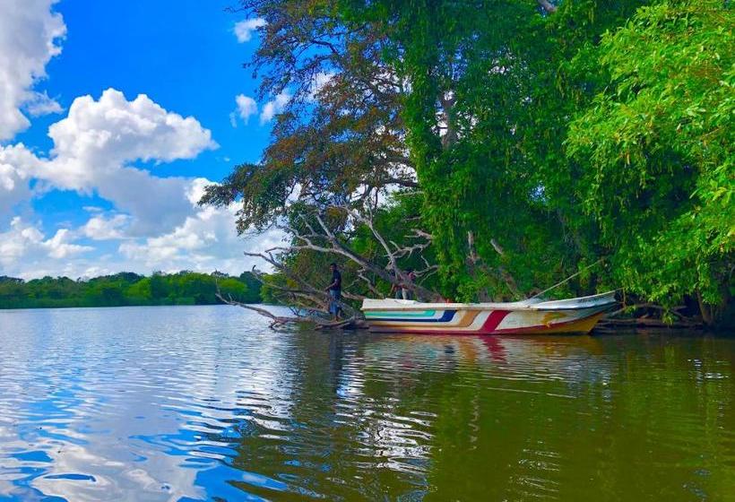 Пансион Wilpattu Green Cabin