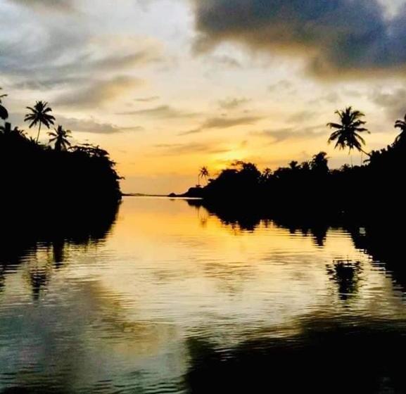 Пансион Wilpattu Green Cabin