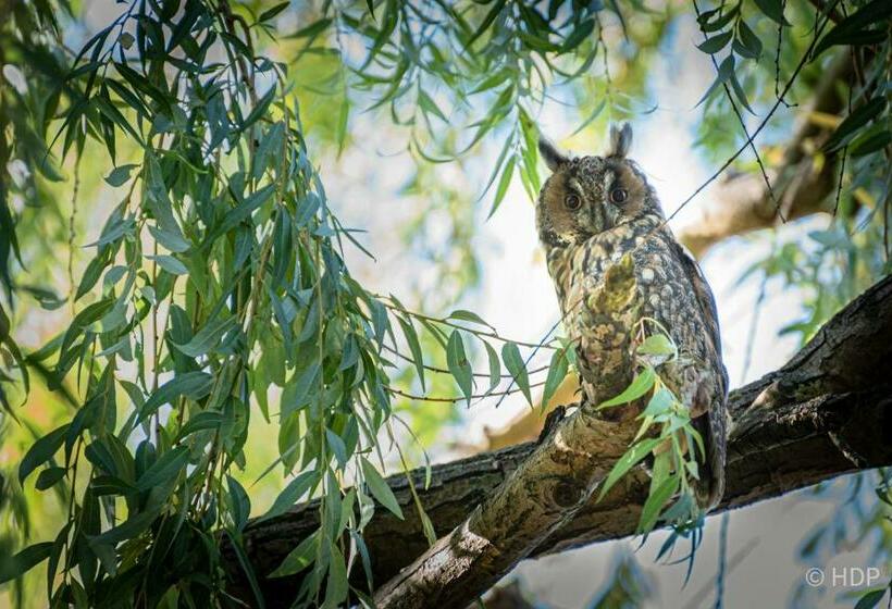 Pension Auf Der Tenne