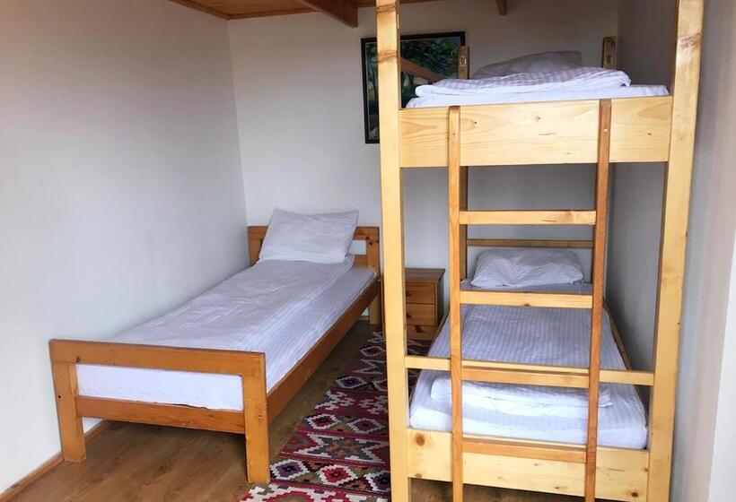 Pensiunea Gernik 100