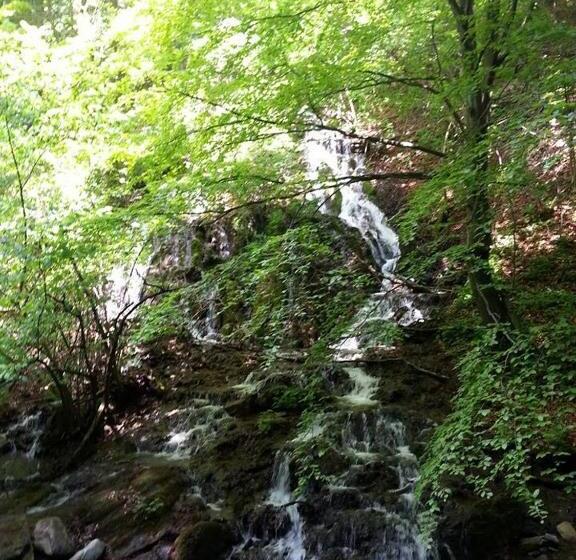 Pensiunea Gernik 100