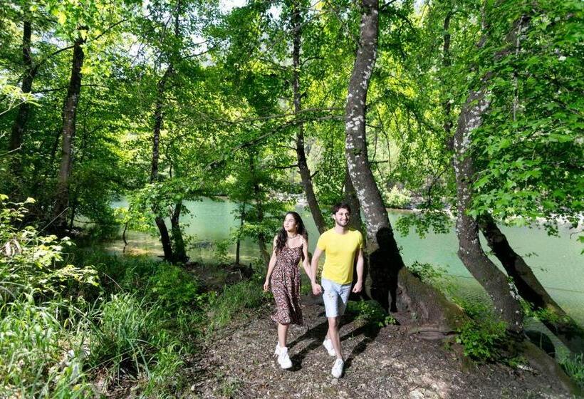 리조트 Botanik Göl Evleri