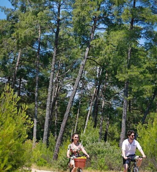 리조트 Botanik Göl Evleri