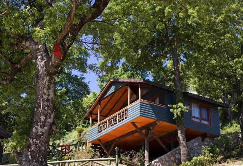 리조트 Botanik Göl Evleri