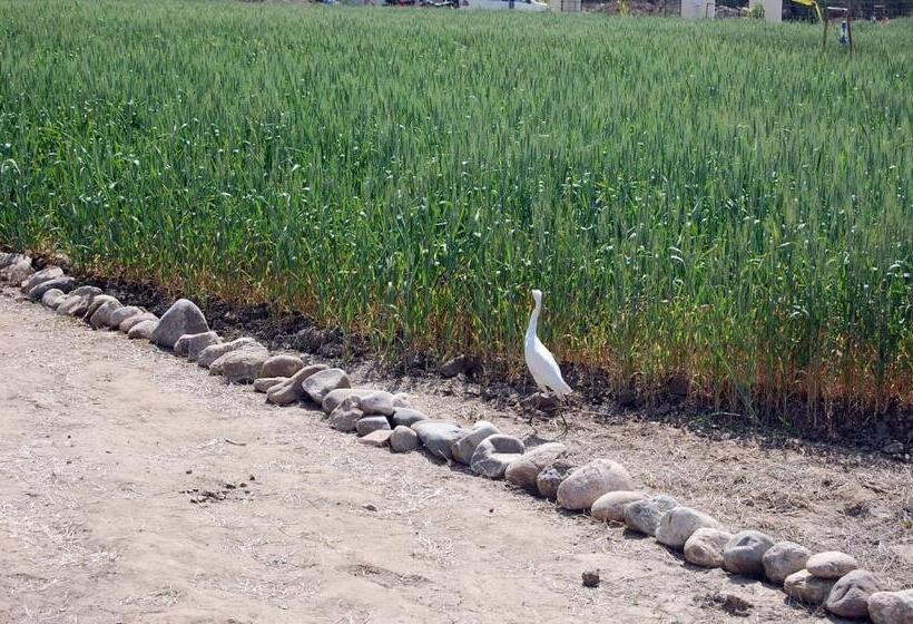 Курорт Jawai Bera Leopard Camp