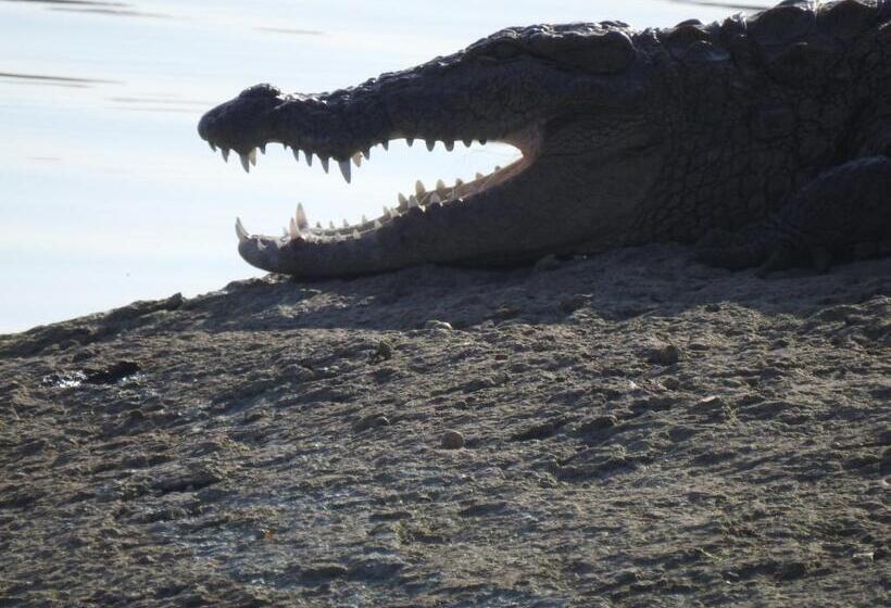 Курорт Jawai Bera Leopard Camp