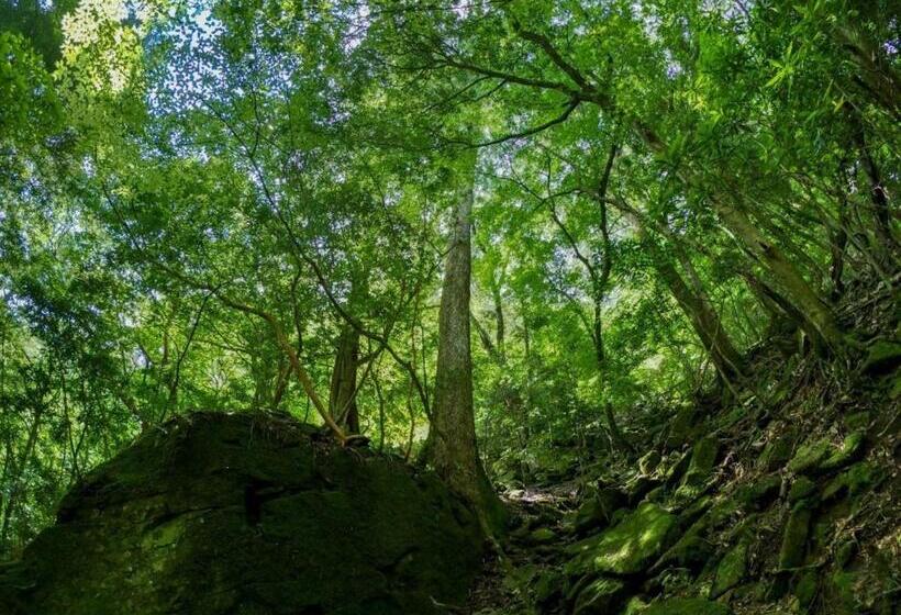 אתר נופש Riverside Lodge