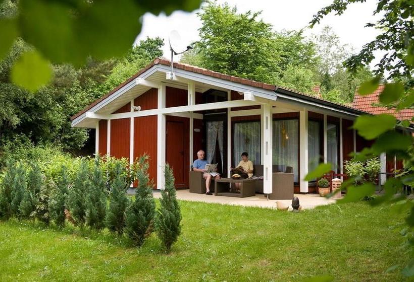 Курорт Type Robinson