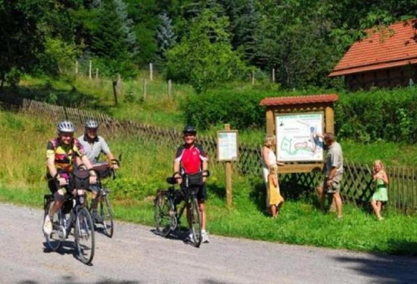 Курорт Type Robinson