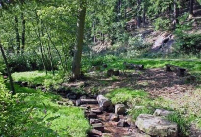 Курорт Type Robinson