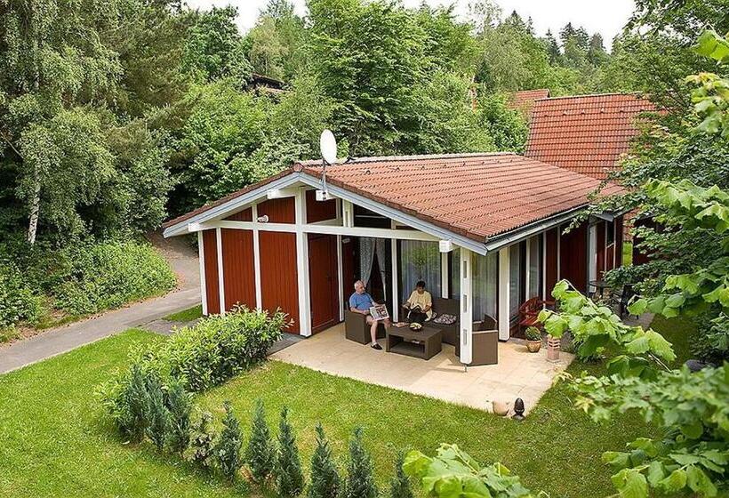 Курорт Type Robinson