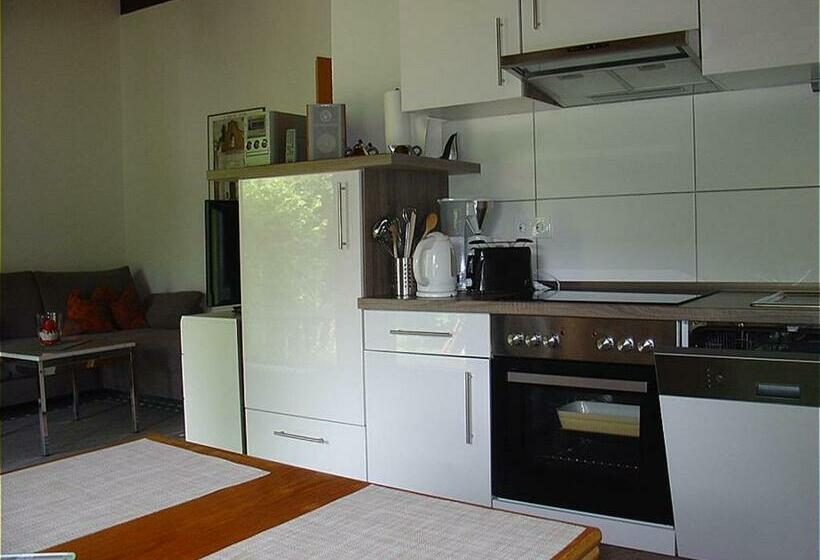 Курорт Type Scout 42