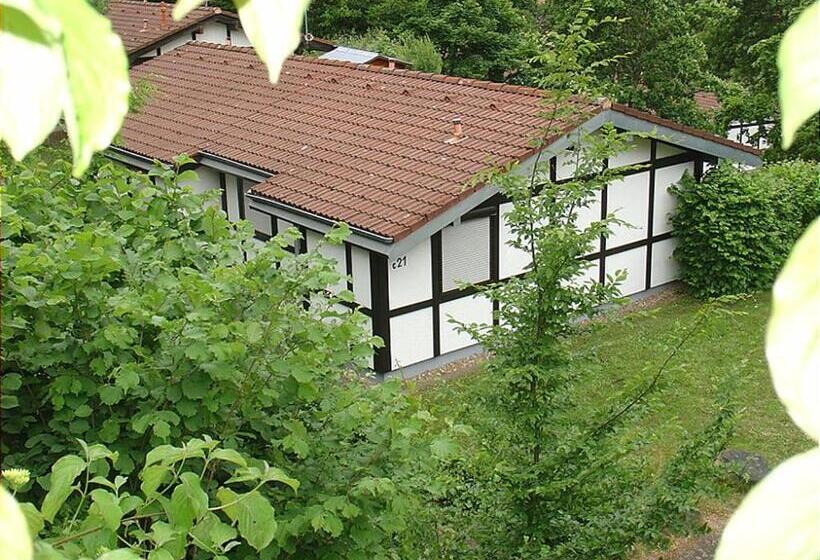 Курорт Type Scout 42