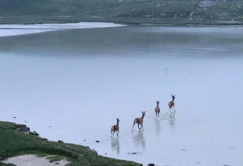 Seacroft Licensed B&b And Restaurant