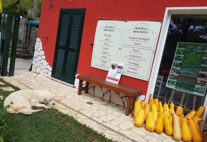 ベッドアンドブレックファースト Agriturismo Rosso Lampone