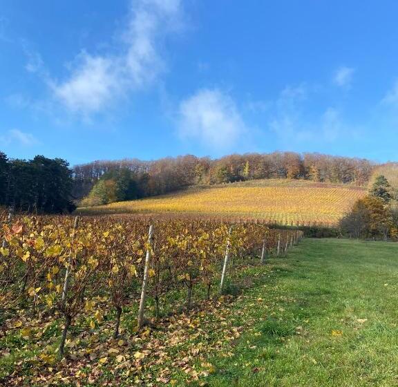 צימר Chambres D’hôtes La Bottée