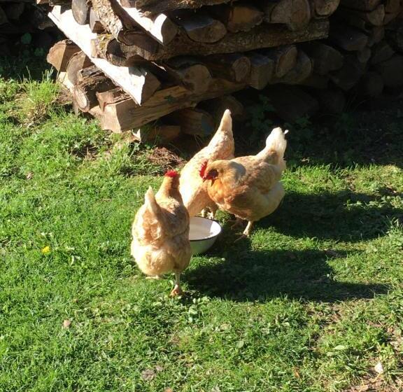 צימר Chambres D’hôtes La Bottée