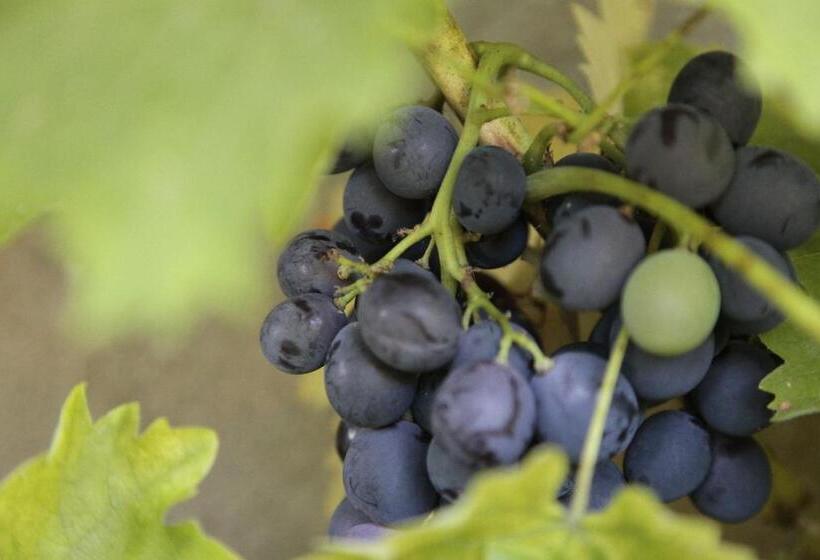 住宿加早餐  L Ancre Vive