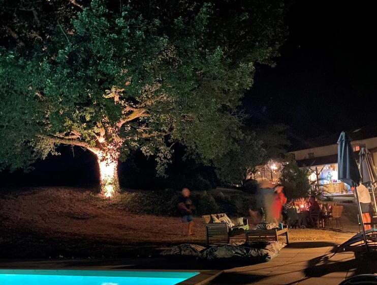 Bed and Breakfast Maison Lamothe