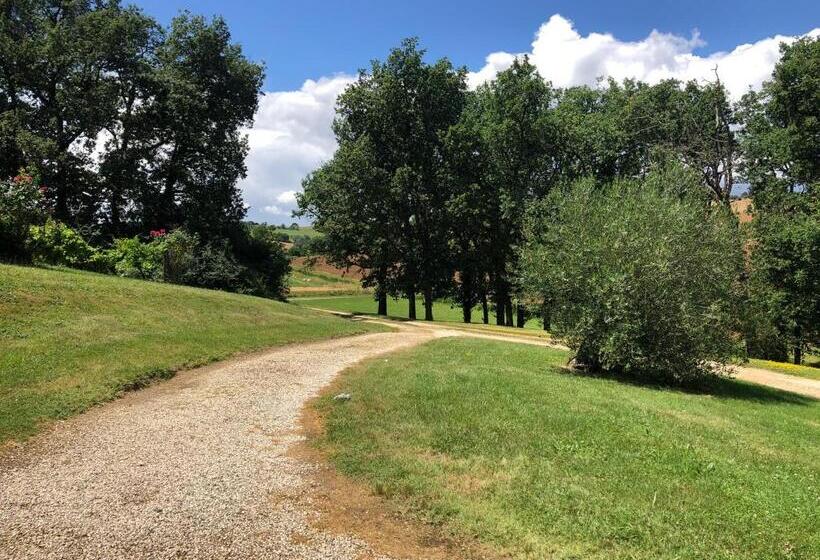 Bed and Breakfast Maison Lamothe