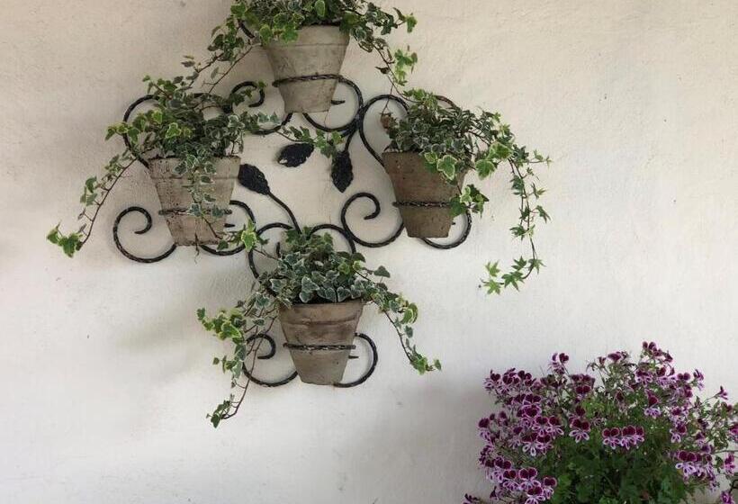 Bed and Breakfast Maison Lamothe