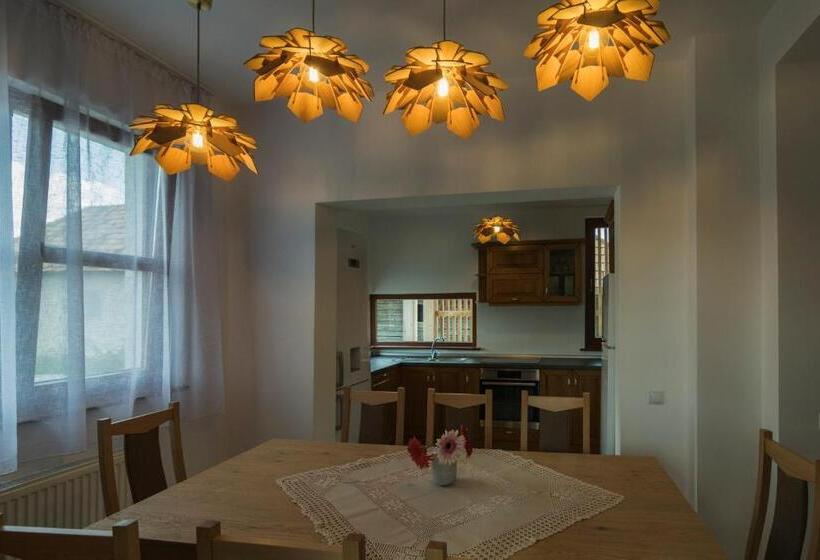 住宿加早餐  Pensiunea Agroturisticā Lukács Panzió