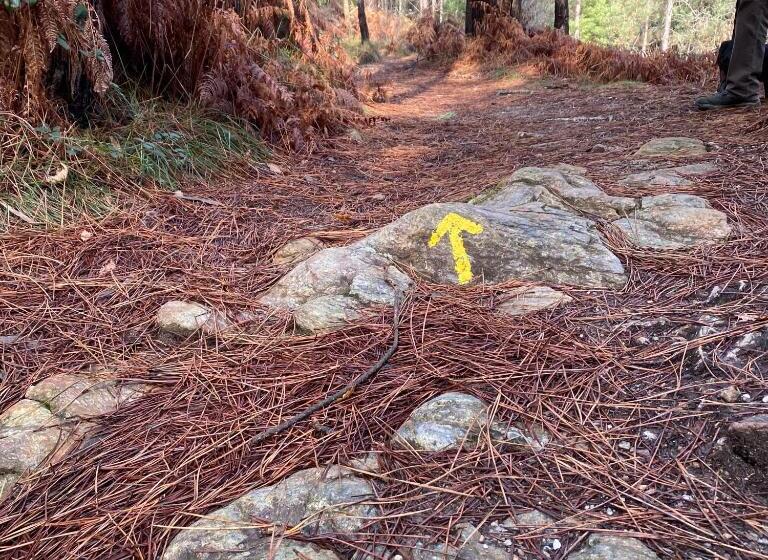 Bed and Breakfast Quinta Labruja