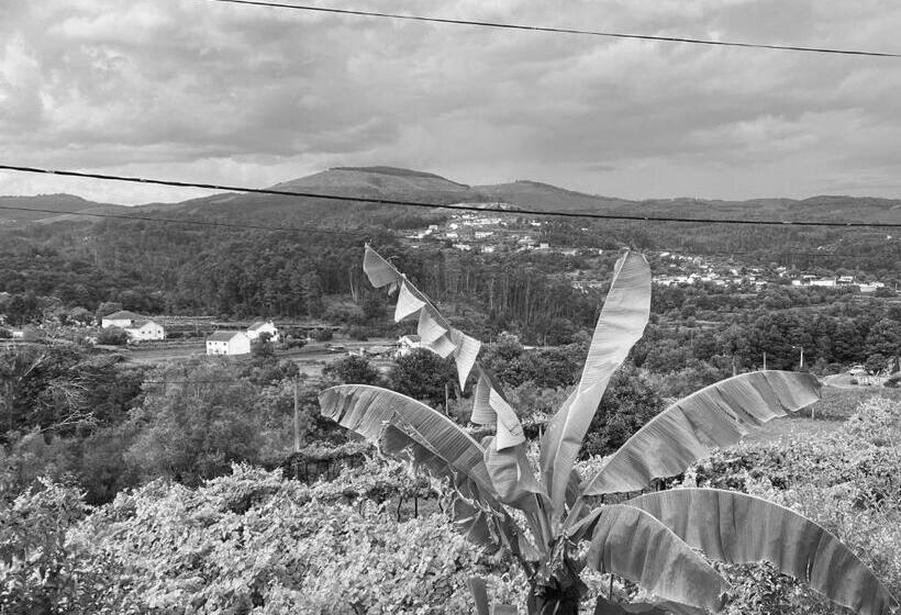 Bed and Breakfast Quinta Labruja