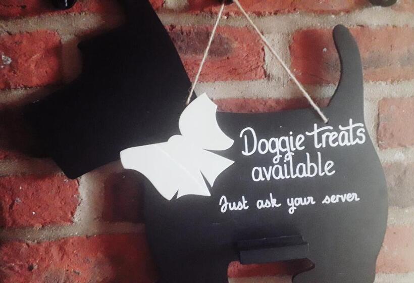 مبيت وإفطار The King & Queen