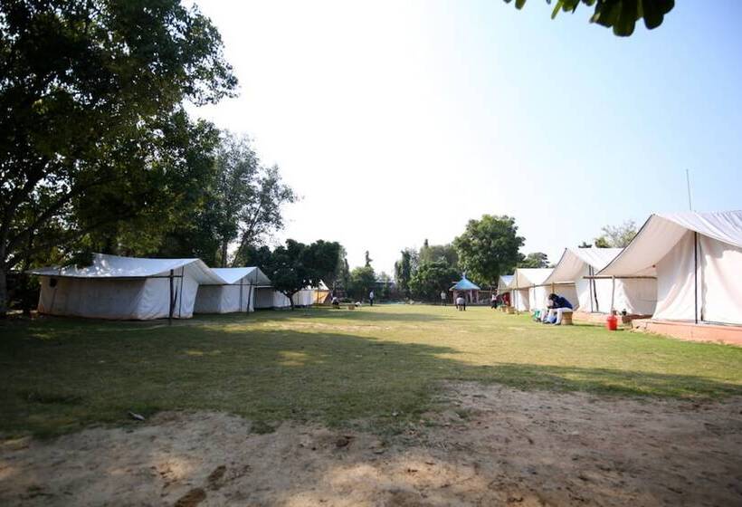 בית מלון כפרי Blowsom Farms