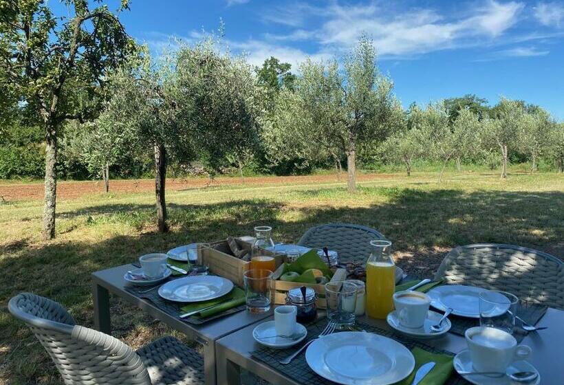 בית מלון כפרי Cardo Boutique&wine Resort