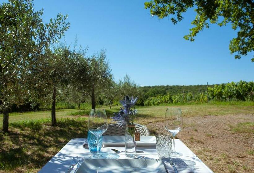 בית מלון כפרי Cardo Boutique&wine Resort