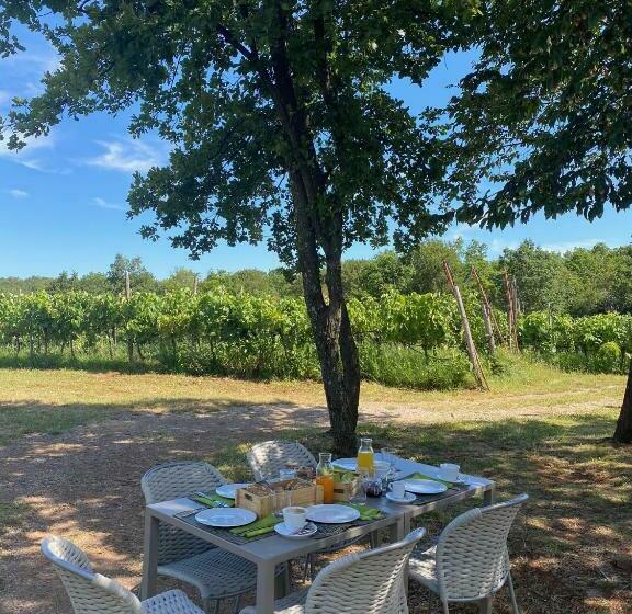 בית מלון כפרי Cardo Boutique&wine Resort