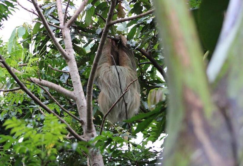 호텔 Casona Del Valle