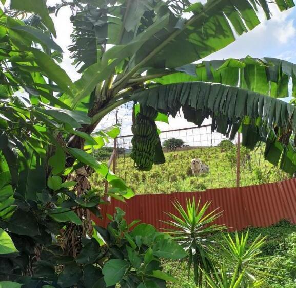 호텔 Casona Del Valle