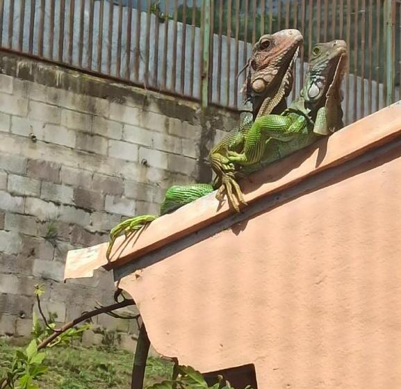 فندق Casona Del Valle